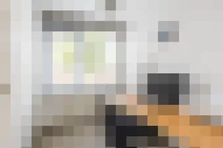 Regulusstraat 13 Groningen thumbnail 12