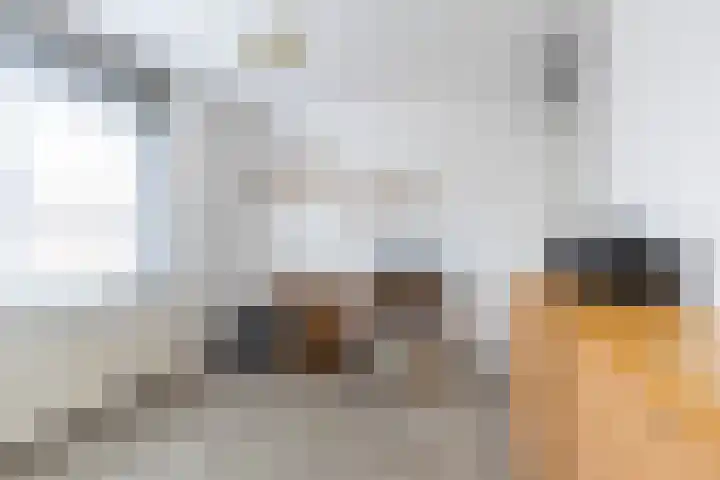 Regulusstraat 13 Groningen thumbnail 13