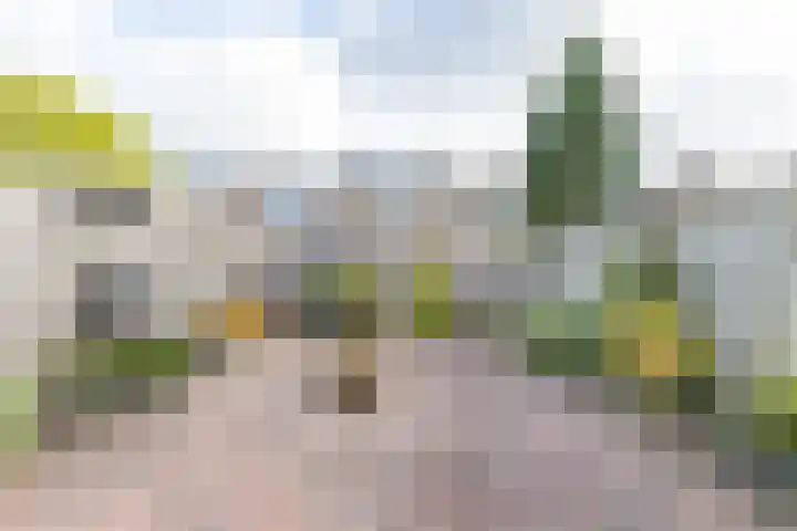 Regulusstraat 13 Groningen thumbnail 18