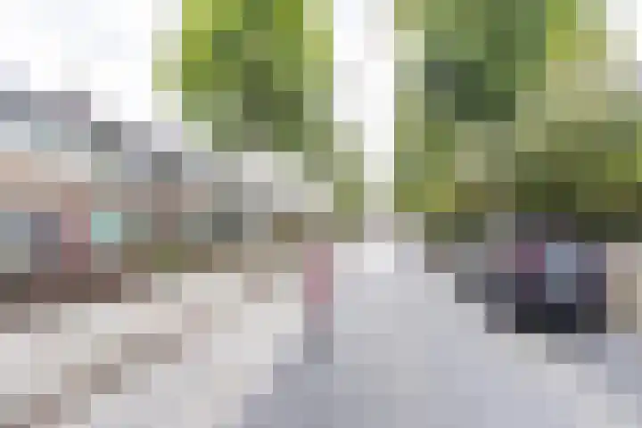 Regulusstraat 13 Groningen thumbnail 24