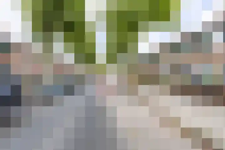 Regulusstraat 13 Groningen thumbnail 25
