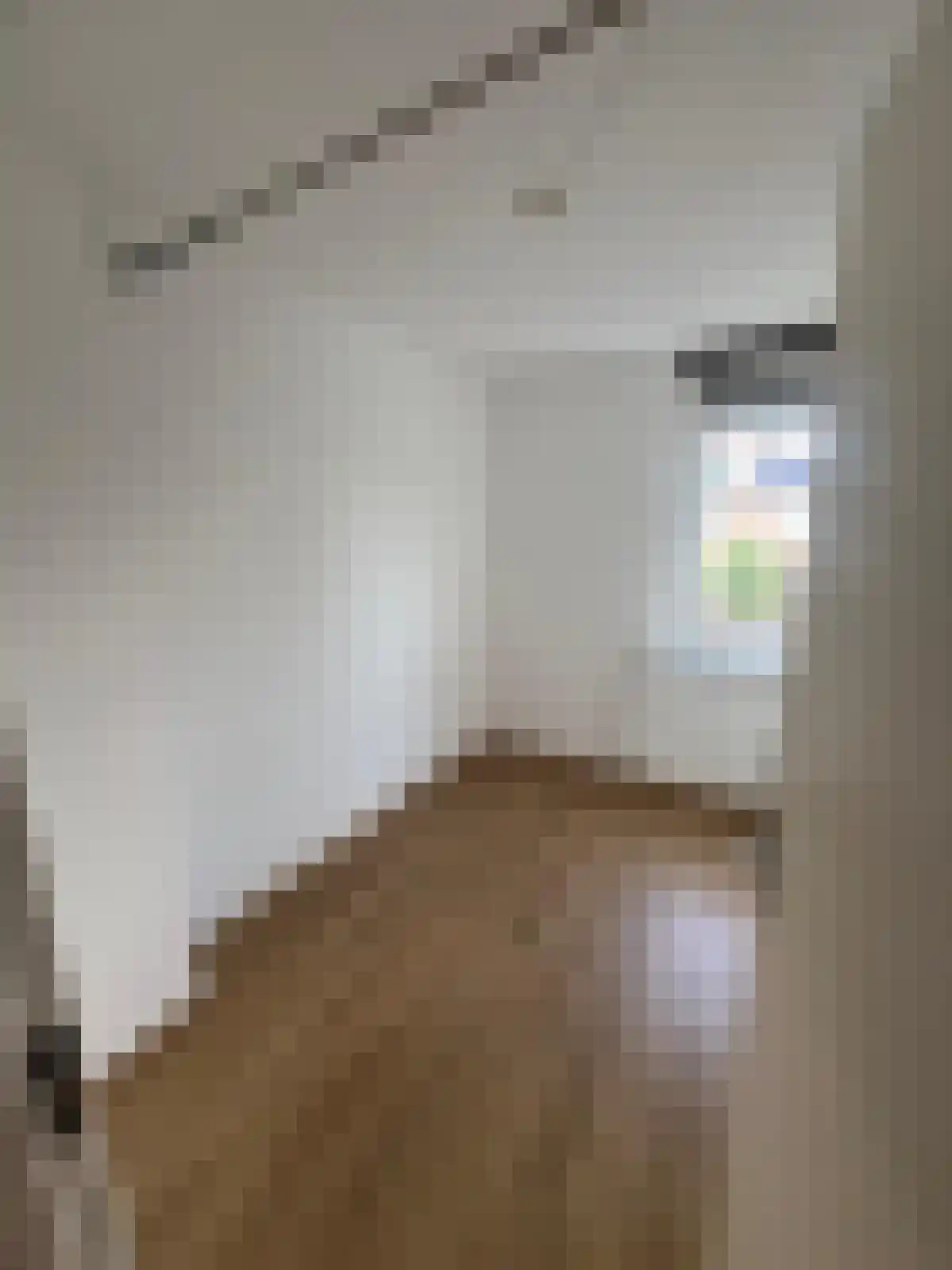 Regulusstraat Groningen thumbnail 5