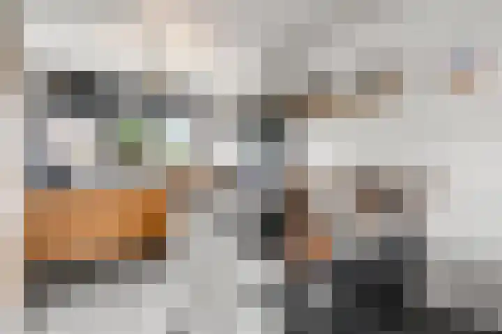 Rehobothstraat 25 Kootwijkerbroek thumbnail 12