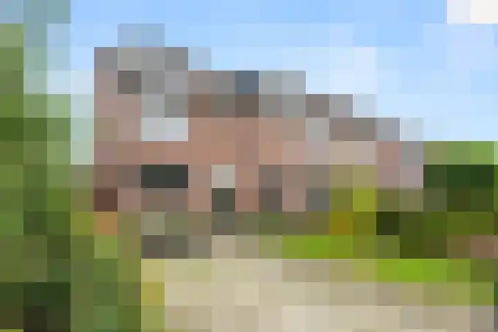 Rehobothstraat 25 Kootwijkerbroek thumbnail 39