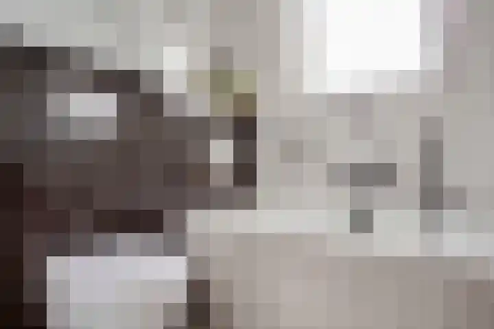 Rehobothstraat 34 Elburg thumbnail 30