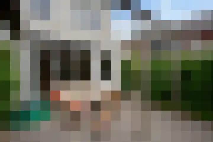 Rehobothstraat 34 Elburg thumbnail 43