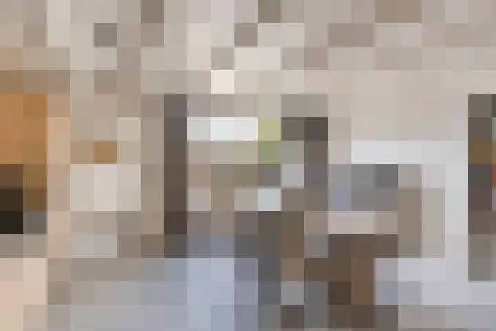 Rehobothstraat 73 Kootwijkerbroek thumbnail 11