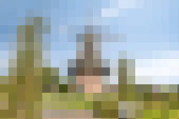 Rehobothstraat 73 Kootwijkerbroek thumbnail 40