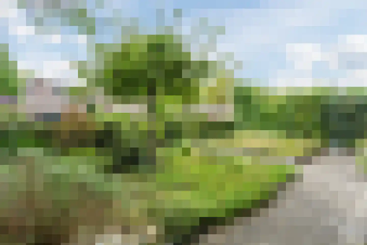 Rehorstplein 21 Amersfoort thumbnail 4