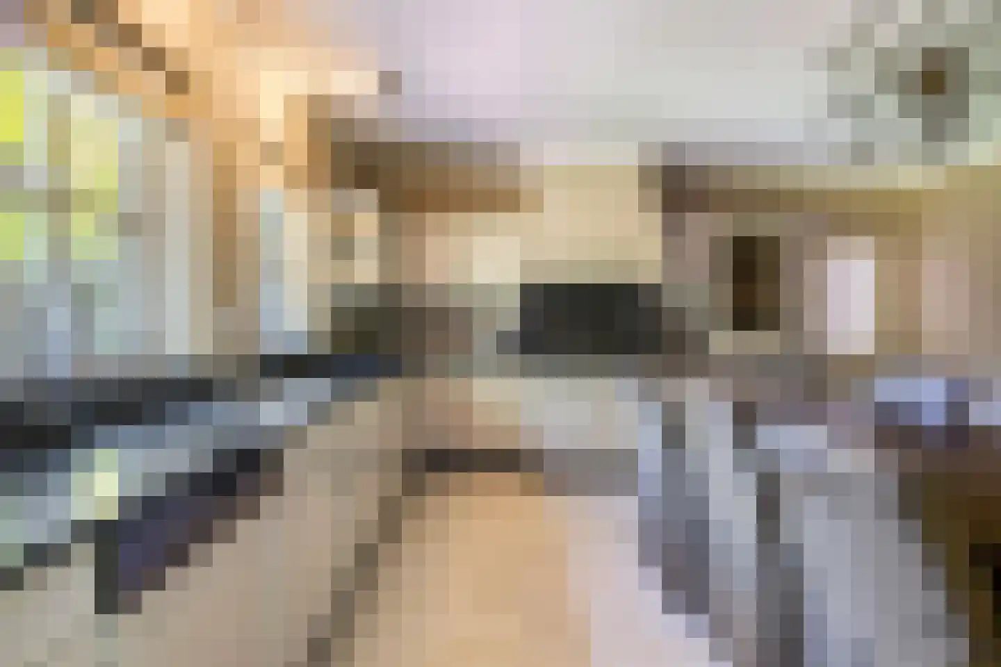 Reibroekstraat 21 Veghel thumbnail 12