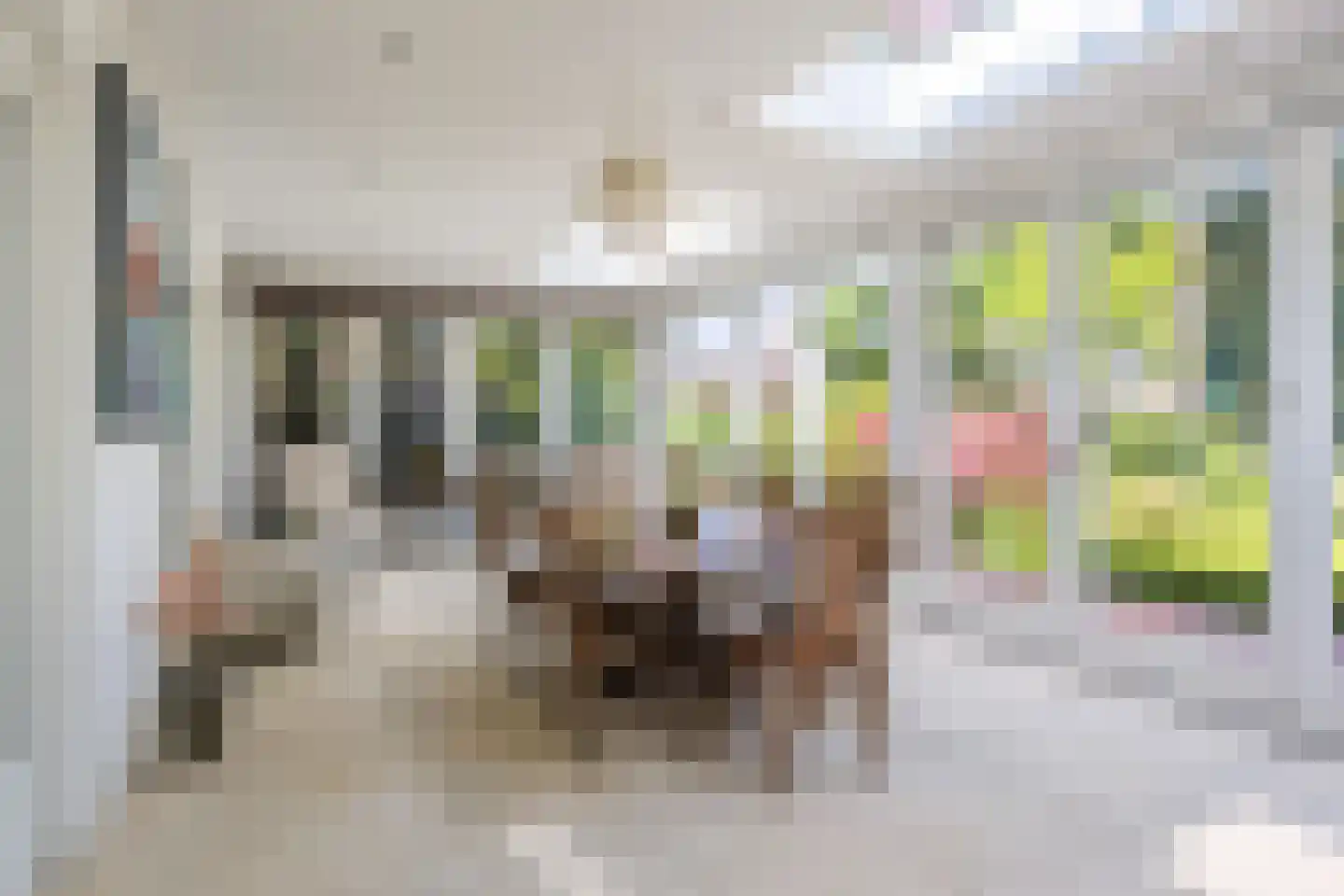 Reibroekstraat 21 Veghel thumbnail 15