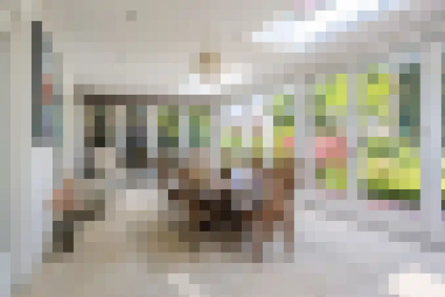 Reibroekstraat 21 Veghel thumbnail 15