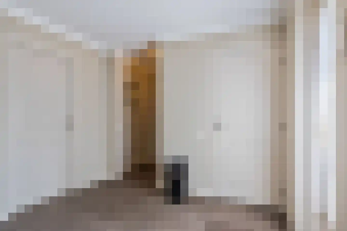 Reibroekstraat 21 Veghel thumbnail 17