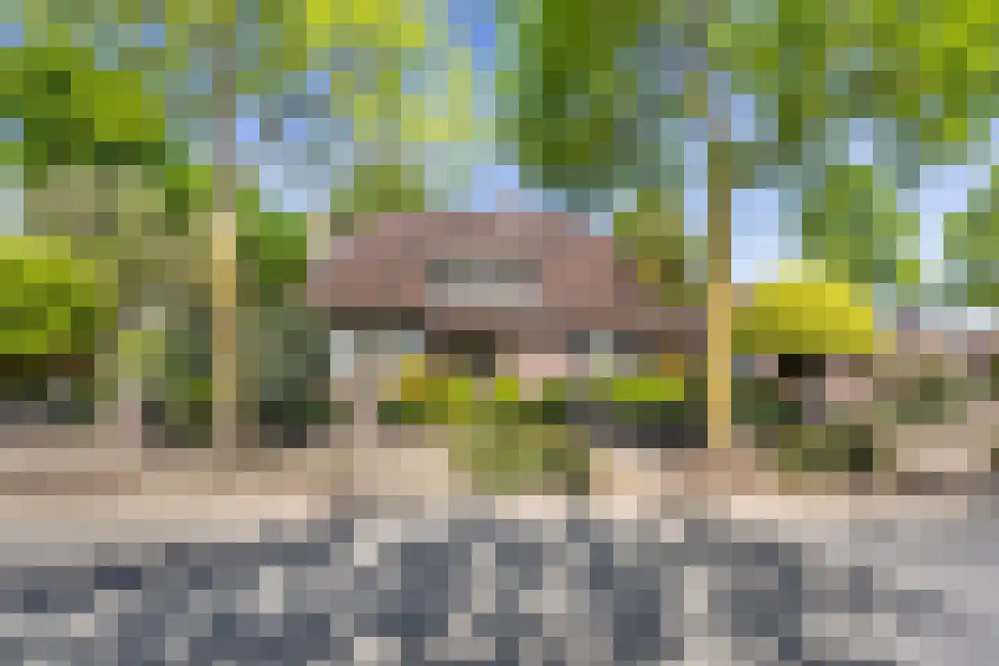 Reibroekstraat 21 Veghel foto 2