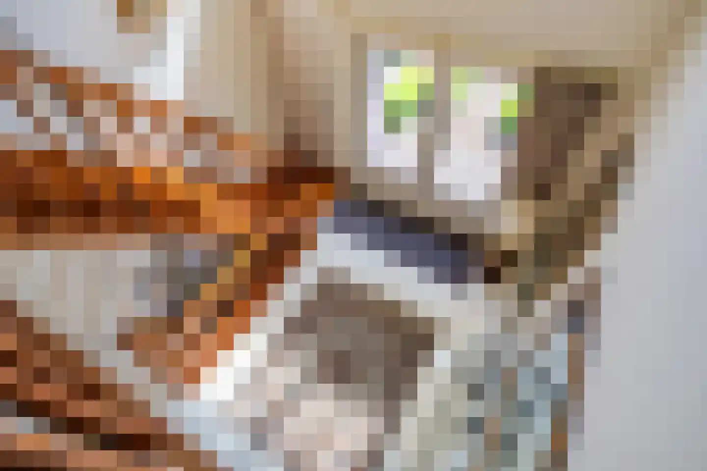 Reibroekstraat 21 Veghel thumbnail 24