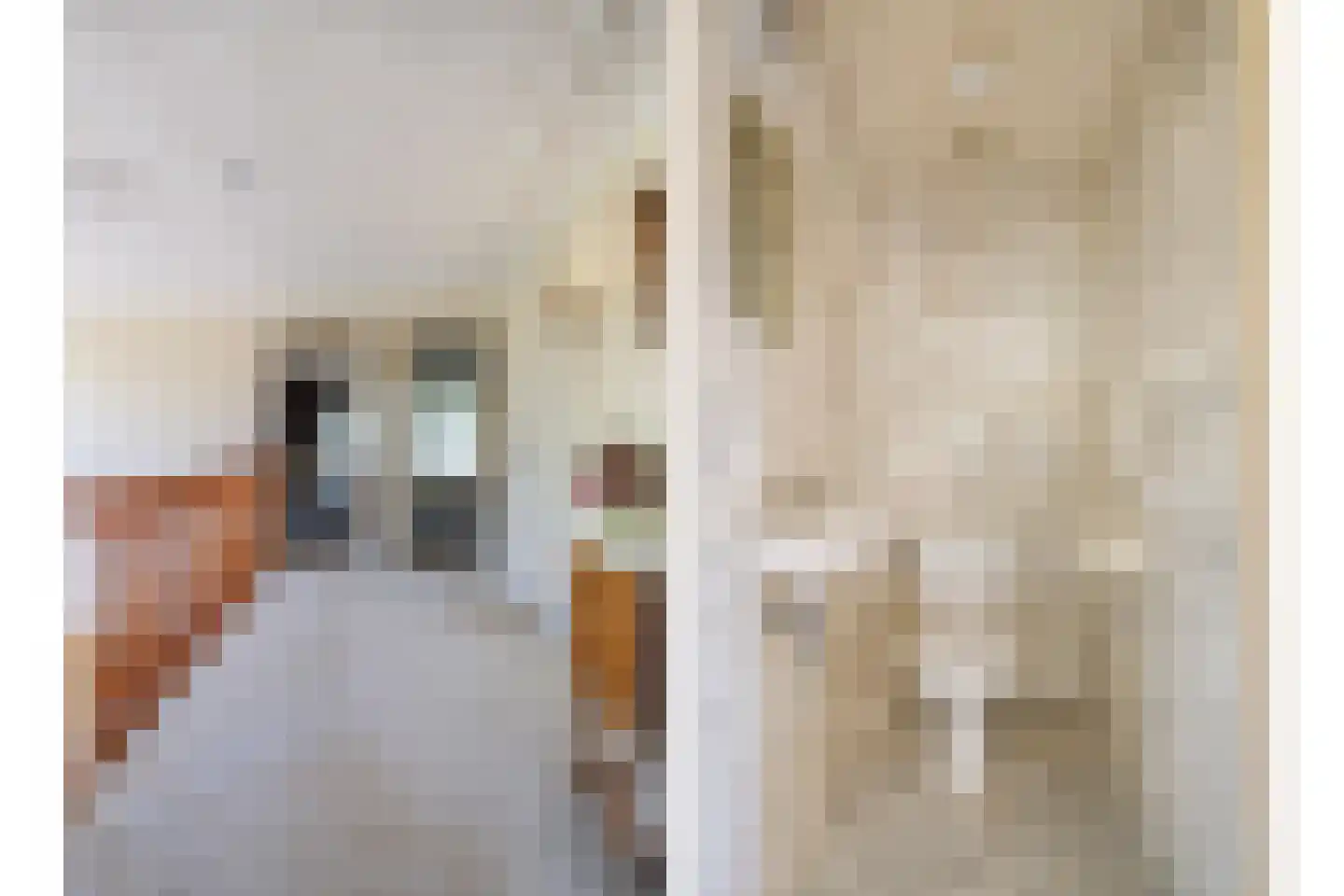 Reibroekstraat 21 Veghel thumbnail 25