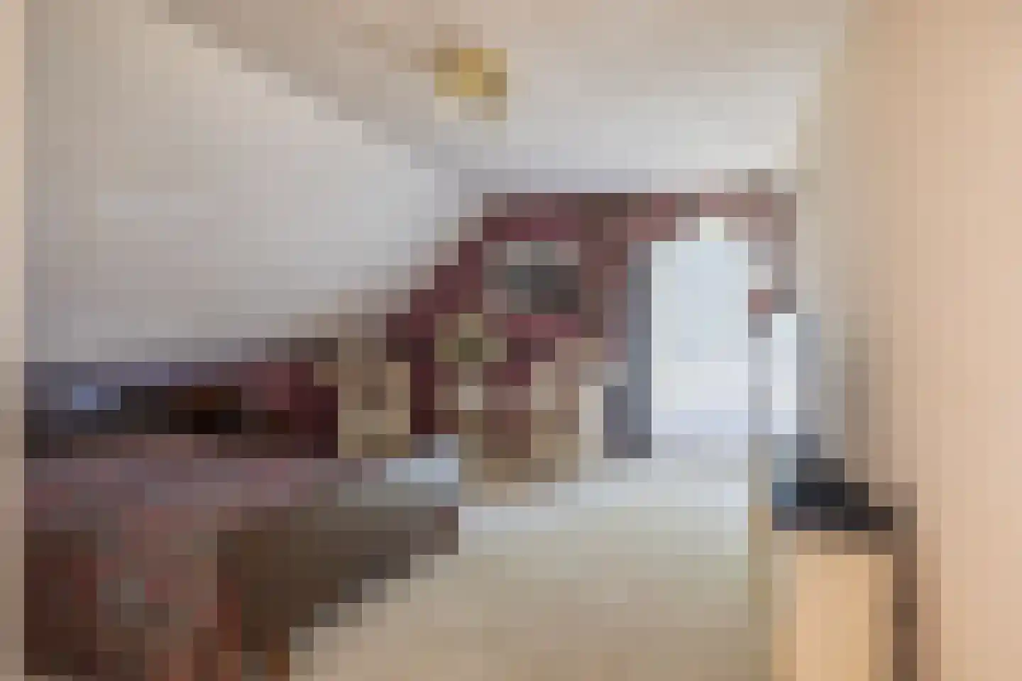 Reibroekstraat 21 Veghel thumbnail 28