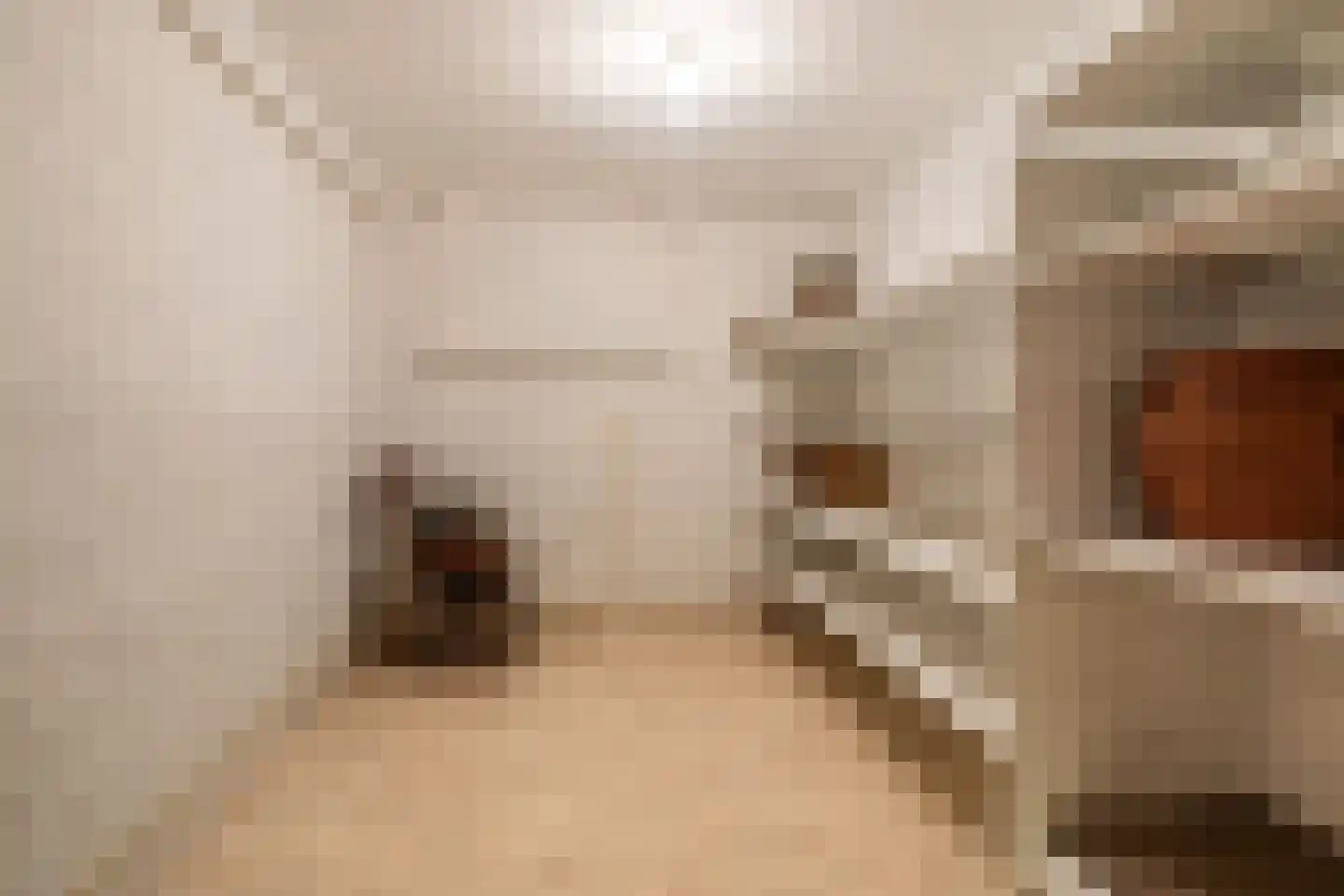 Reibroekstraat 21 Veghel thumbnail 39
