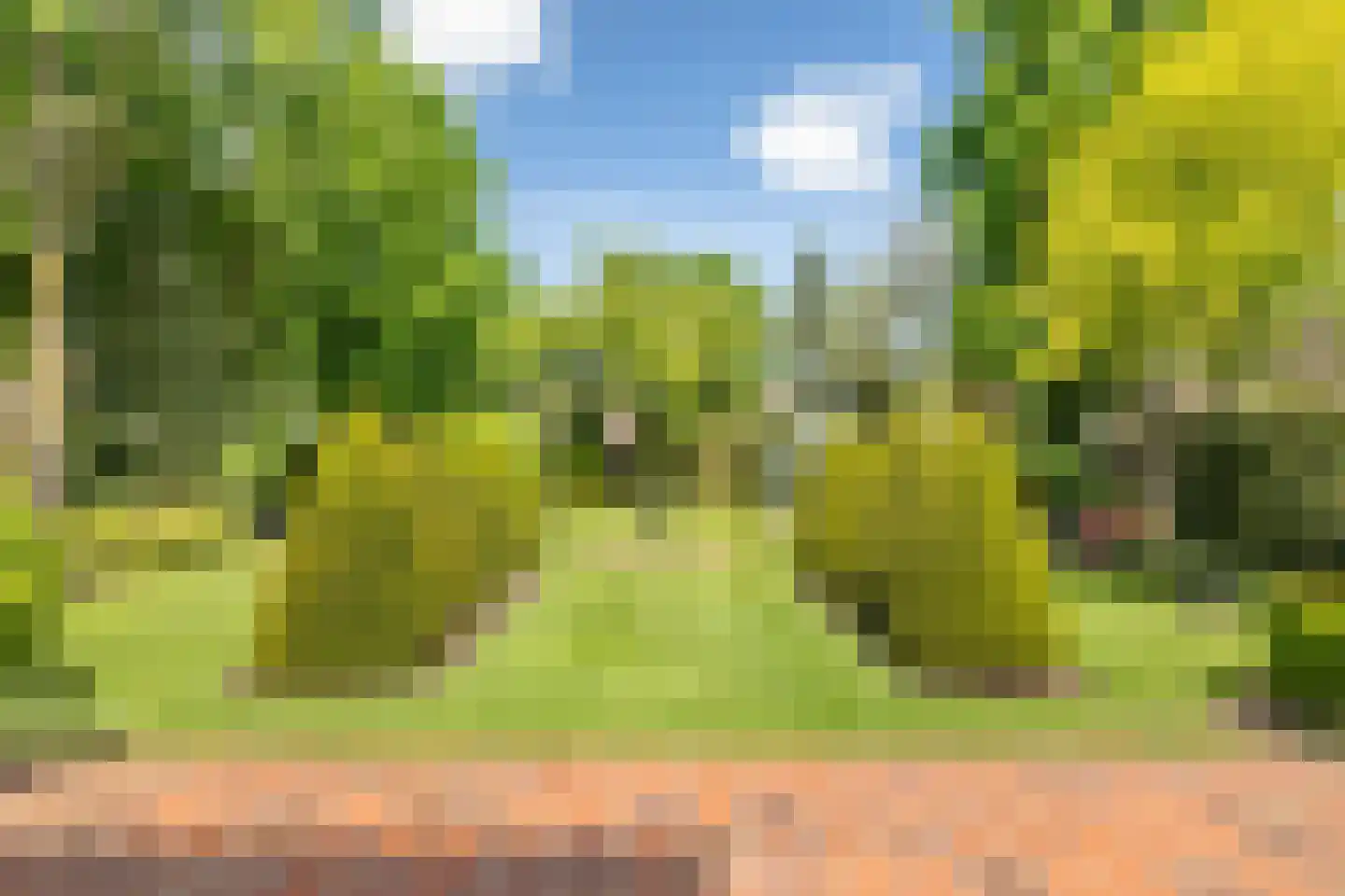 Reibroekstraat 21 Veghel thumbnail 40