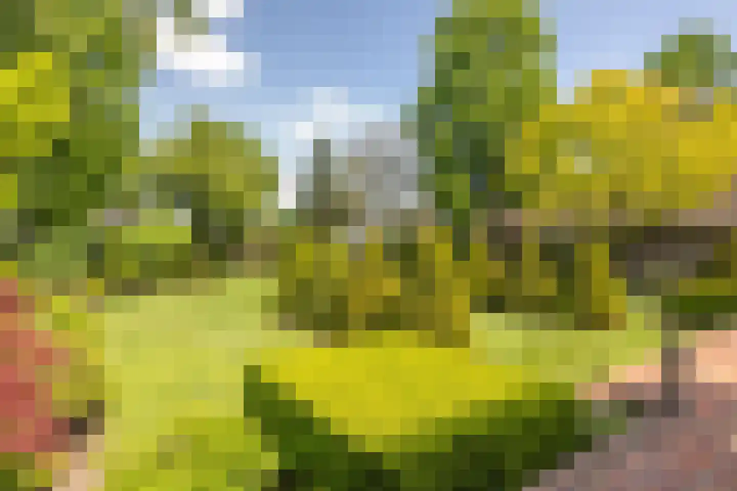 Reibroekstraat 21 Veghel thumbnail 41