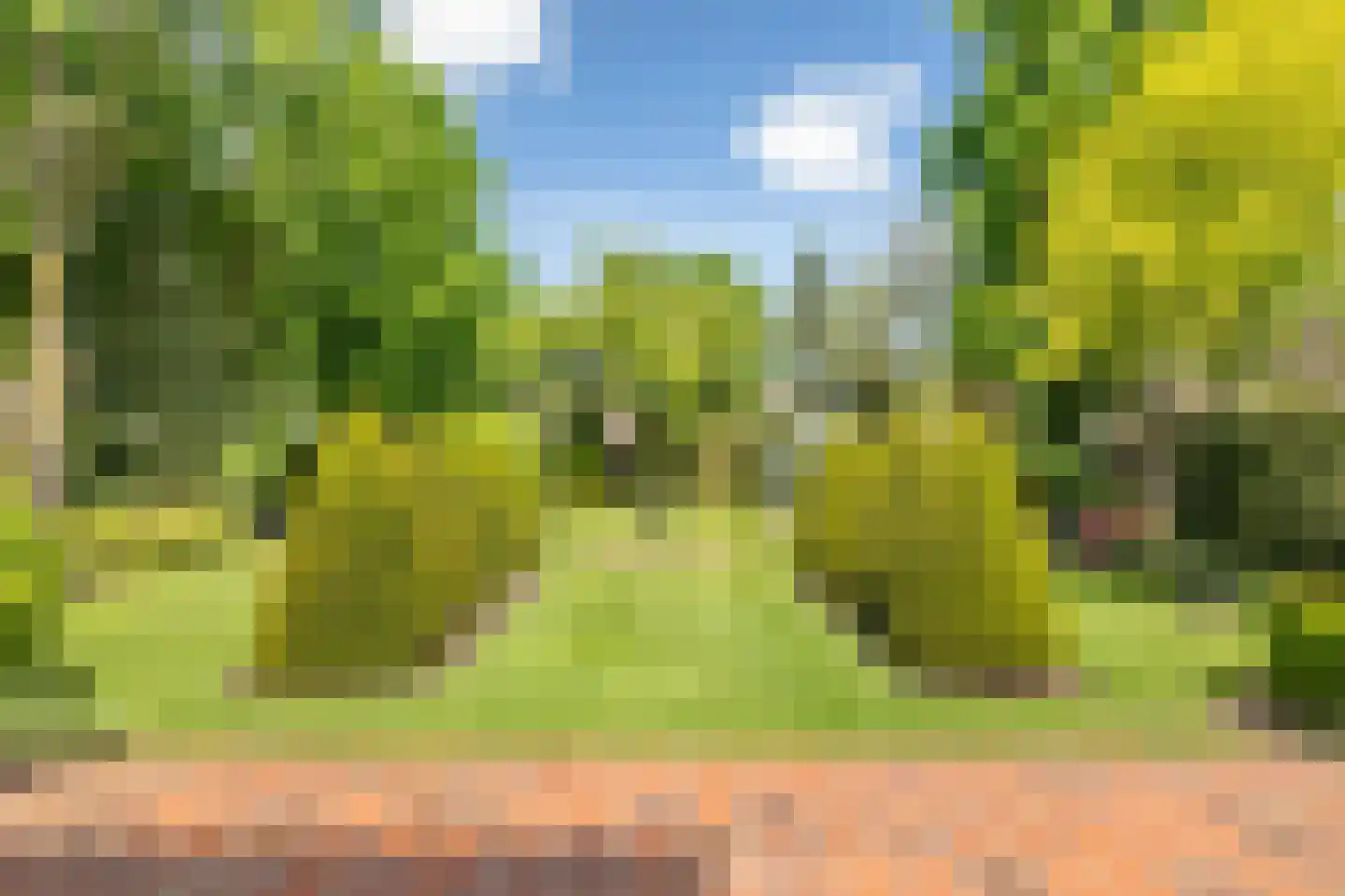 Reibroekstraat 21 Veghel thumbnail 41