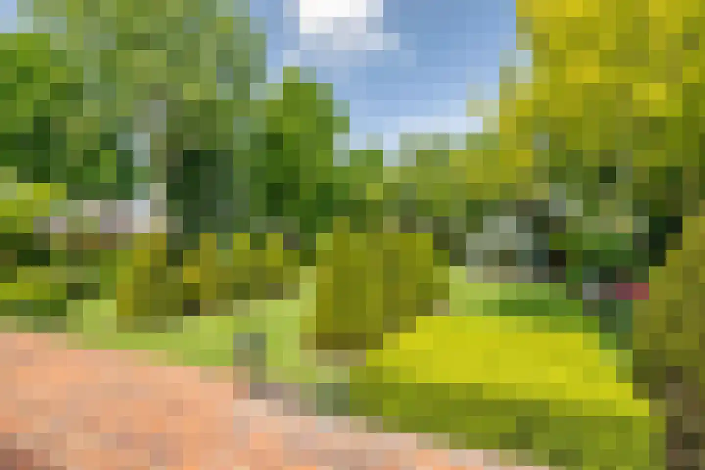 Reibroekstraat 21 Veghel thumbnail 42