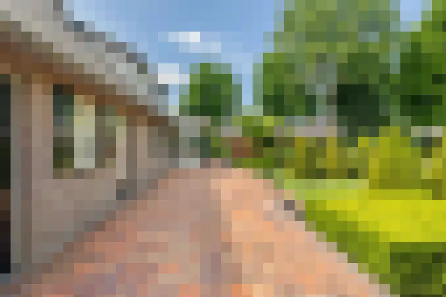 Reibroekstraat 21 Veghel thumbnail 43