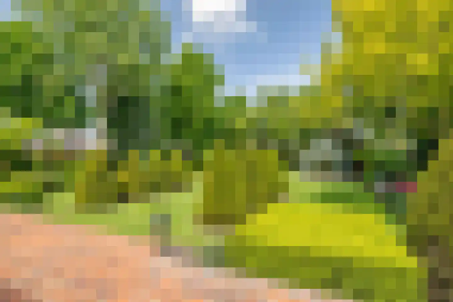 Reibroekstraat 21 Veghel thumbnail 43