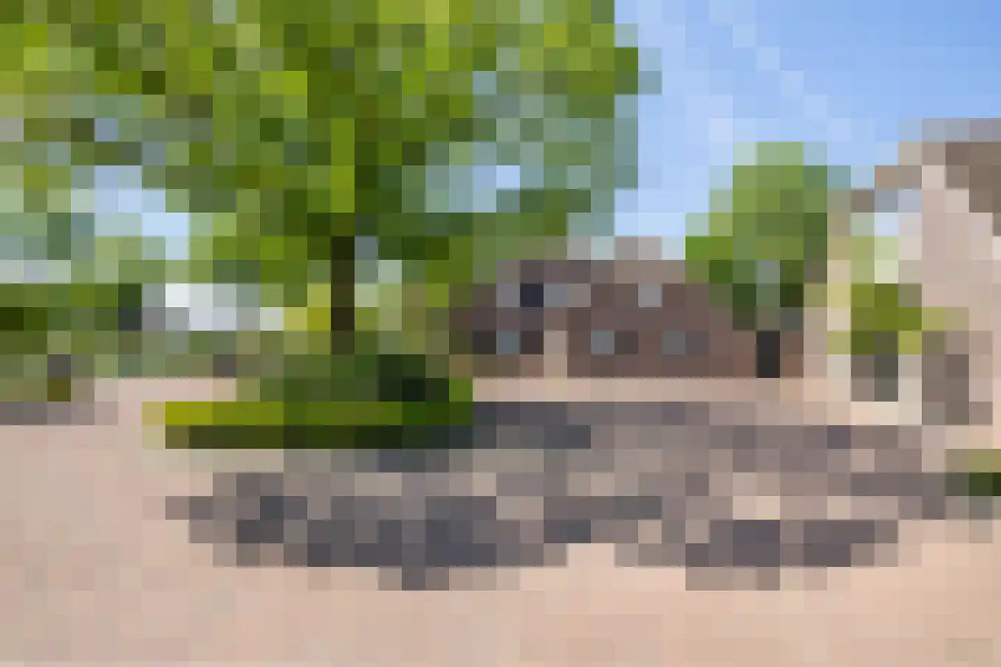 Reibroekstraat 21 Veghel thumbnail 5