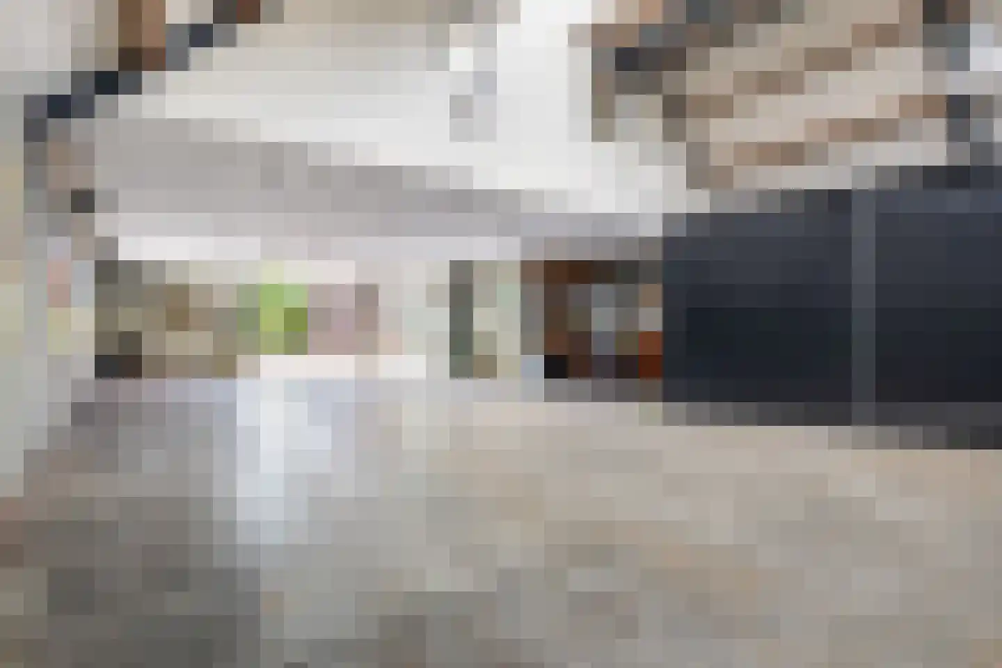 Reibroekstraat 21 Veghel thumbnail 54
