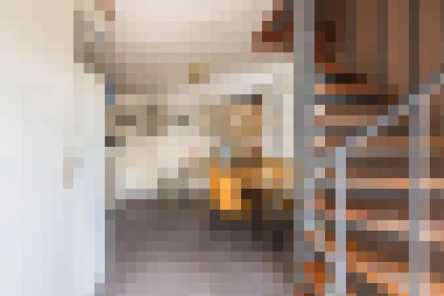 Reibroekstraat 21 Veghel thumbnail 57