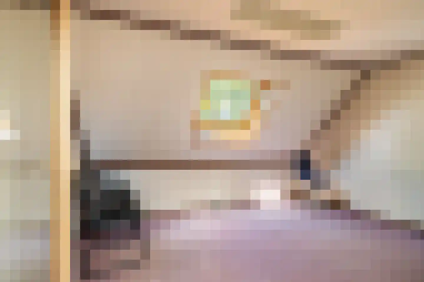 Reibroekstraat 21 Veghel thumbnail 61