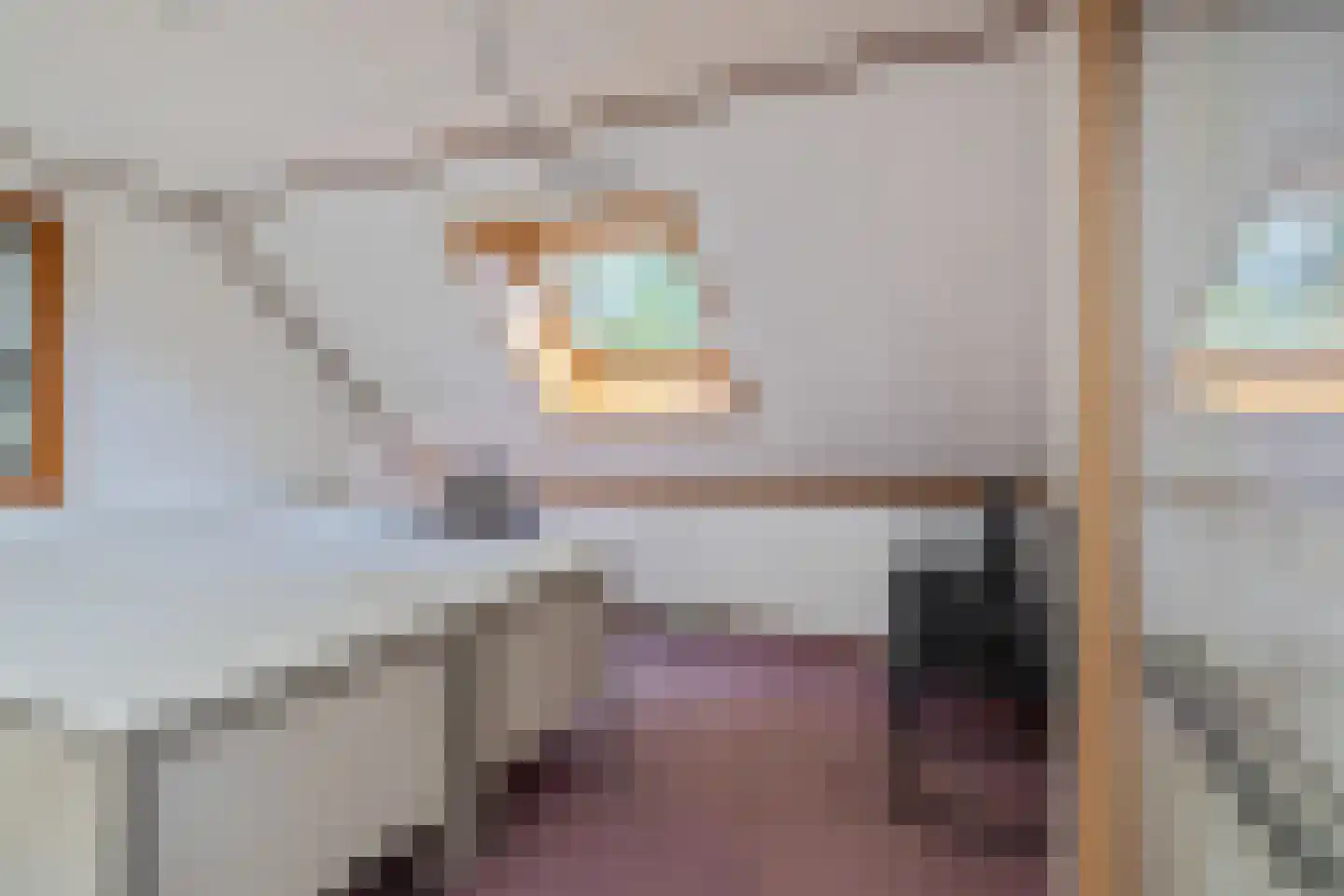 Reibroekstraat 21 Veghel thumbnail 63