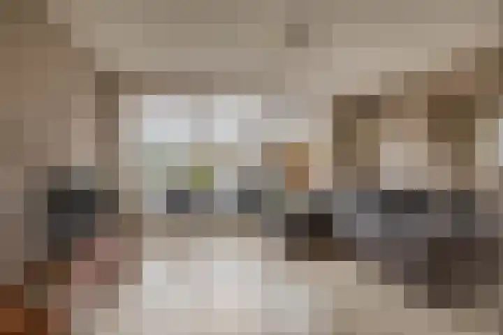 Reidans 14 Capelle aan den IJssel thumbnail 10