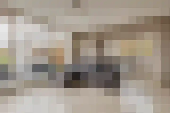 Reidans 14 Capelle aan den IJssel thumbnail 11