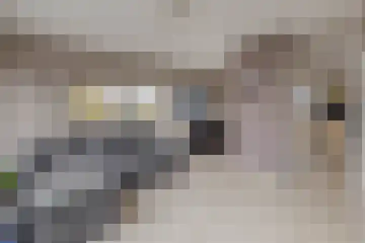 Reidans 14 Capelle aan den IJssel thumbnail 12