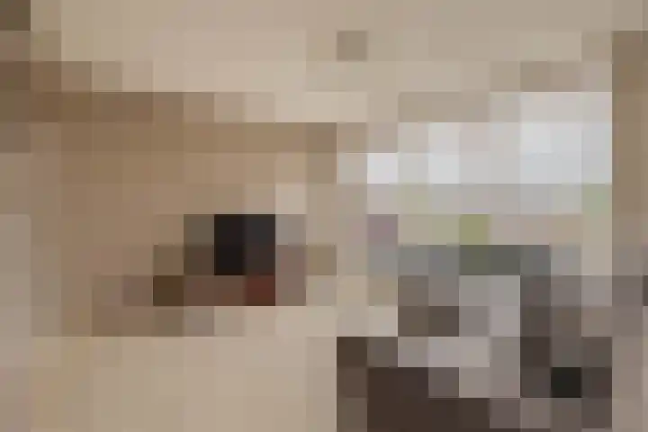 Reidans 14 Capelle aan den IJssel thumbnail 14