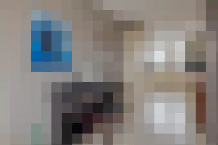 Reidans 14 Capelle aan den IJssel thumbnail 15