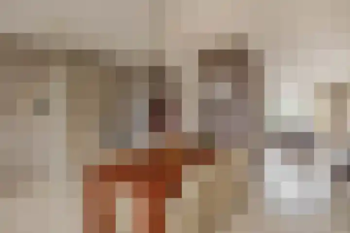 Reidans 14 Capelle aan den IJssel thumbnail 16