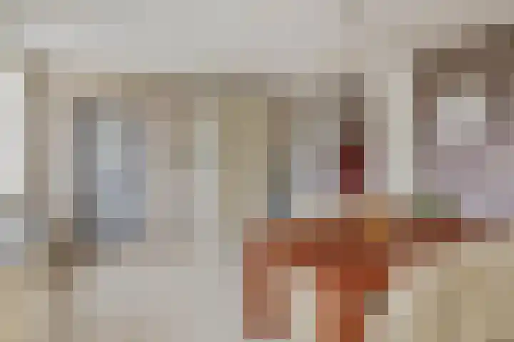 Reidans 14 Capelle aan den IJssel thumbnail 17