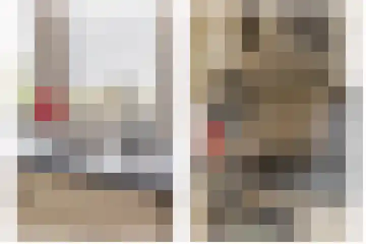 Reidans 14 Capelle aan den IJssel thumbnail 21