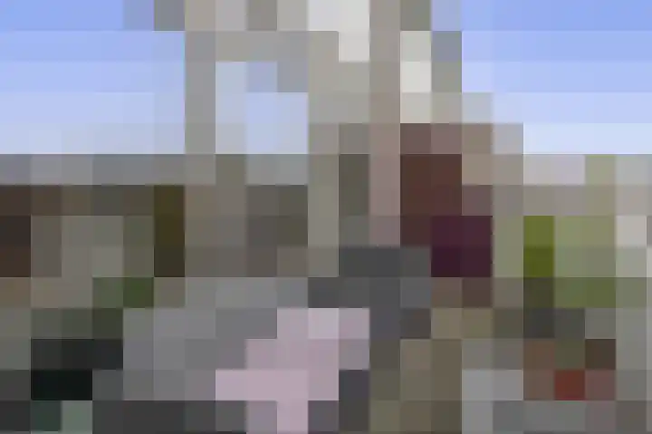 Reidans 14 Capelle aan den IJssel thumbnail 22