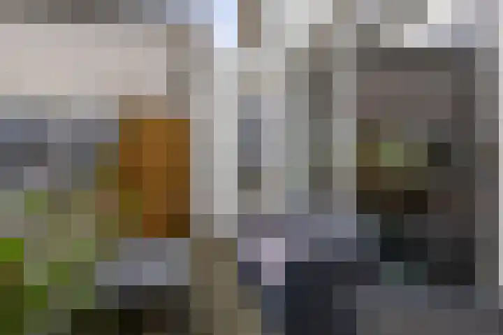 Reidans 14 Capelle aan den IJssel thumbnail 23