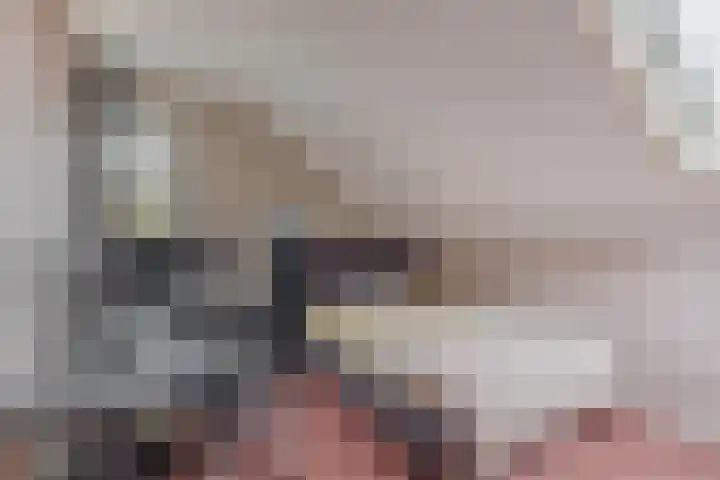 Reidans 14 Capelle aan den IJssel thumbnail 27