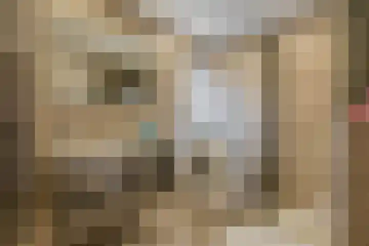 Reidans 14 Capelle aan den IJssel thumbnail 29