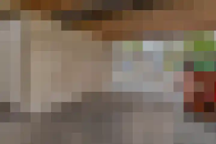 Reidans 14 Capelle aan den IJssel thumbnail 34