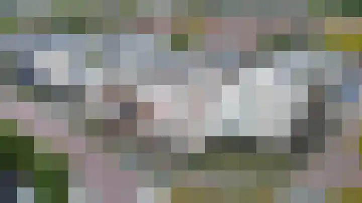 Reidans 14 Capelle aan den IJssel thumbnail 40