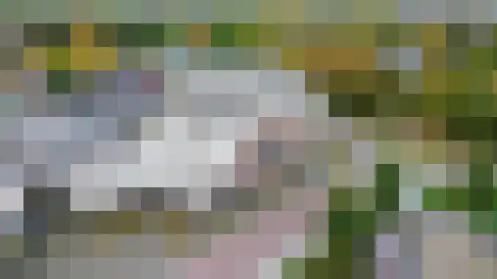 Reidans 14 Capelle aan den IJssel thumbnail 41
