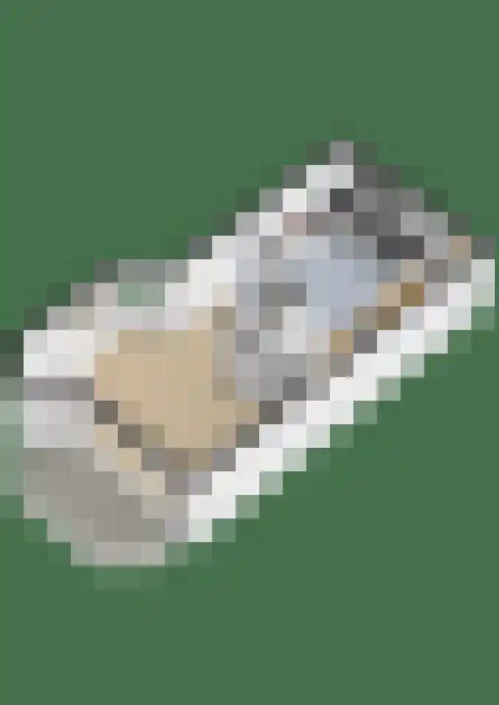 Reidans 14 Capelle aan den IJssel thumbnail 45
