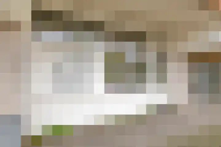 Reidans 14 Capelle aan den IJssel thumbnail 5